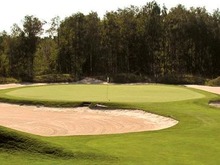 Газонная трава Barenbrug (Баренбруг) DSB 007