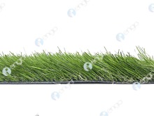 GreenFields Evolution Pro