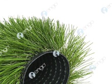 GreenFields Evolution Pro