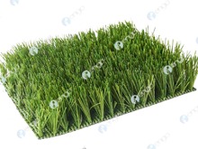 GreenFields MX Elite