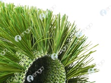 GreenFields MX Elite