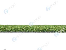 Greenfields TX Elite