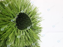 GreenFields Ultimate