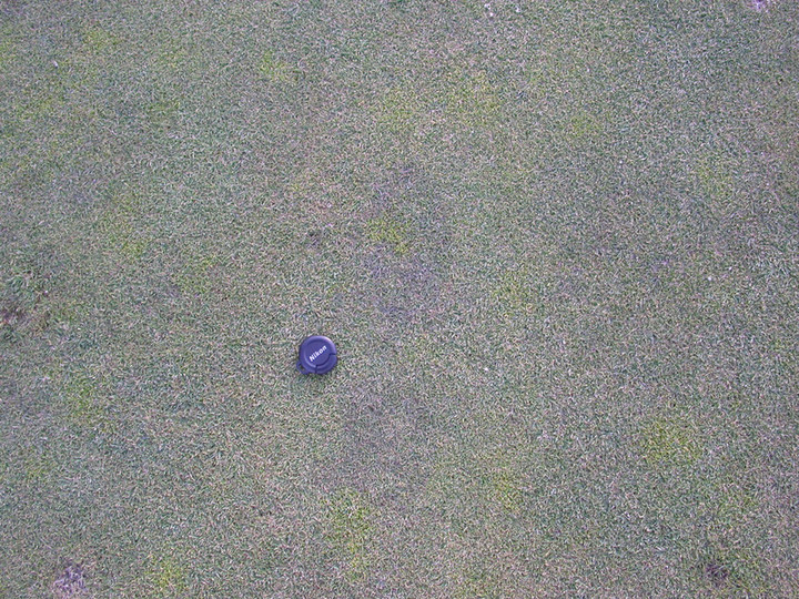 image_n1279_f1913.jpg image_n1279_f1913.jpg