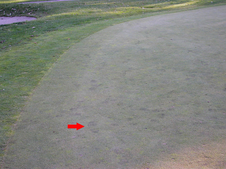 image_n838_f1472.jpg image_n838_f1472.jpg