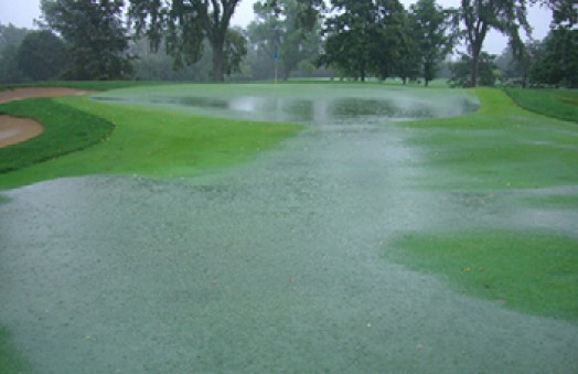 Damned If You Do, But Not If You Don&rsquo;t.jpg