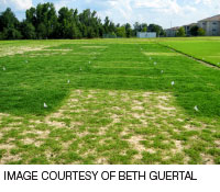 GCI0913_pg20.jpg GCI0913_pg20.jpg