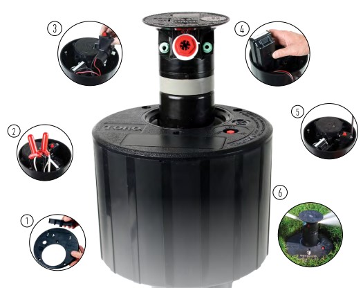 Toro_1.jpg Toro_1.jpg