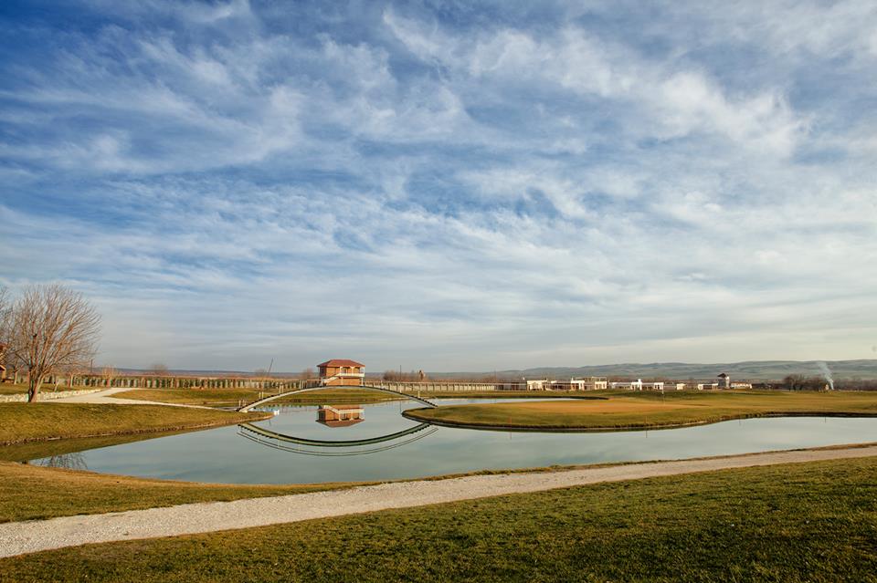 11287313_954056014626561_554704501_n.jpg 11287313_954056014626561_554704501_n.jpg