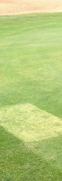 2014-02-04_122126.jpg 2014-02-04_122126.jpg