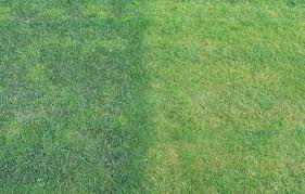 images.jpg images.jpg