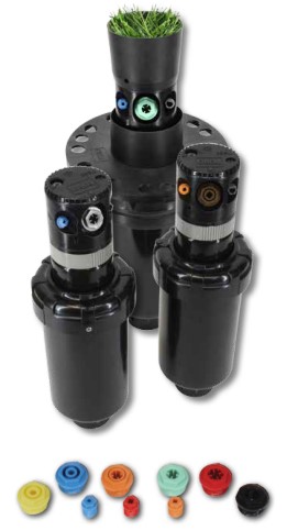 Toro_2.jpg Toro_2.jpg