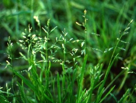 p81_f_0915.jpg p81_f_0915.jpg