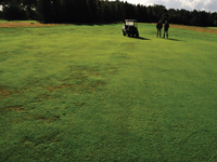 Выбор правильного увлажняющего реагента.jpg