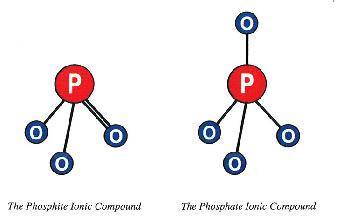 Что такое фосфиты_.jpg