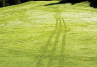 2013-09-25_093501.jpg 2013-09-25_093501.jpg